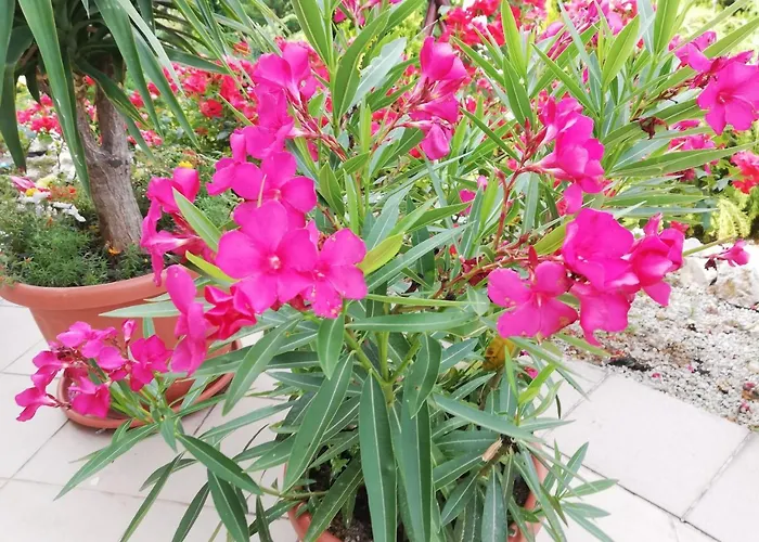 Kati Station touristique 2*